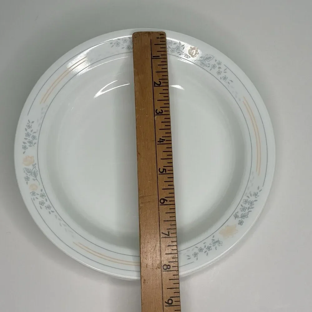 Corelle Apricot Grove Set of 4 Flat Rimmed Shallow Soup Salad Pasta Bowls 8.5